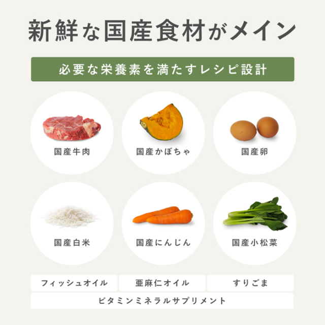 【PETOKOTO】ペトコトフーズ　ウェットドッグフード　ビーフ