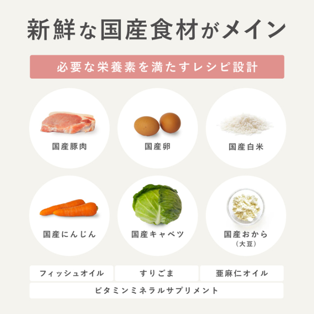 【PETOKOTO】ペトコトフーズ　ウェットドッグフード　ポーク