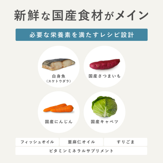 【PETOKOTO】ペトコトフーズ　ウェットドッグフード　フィッシュ