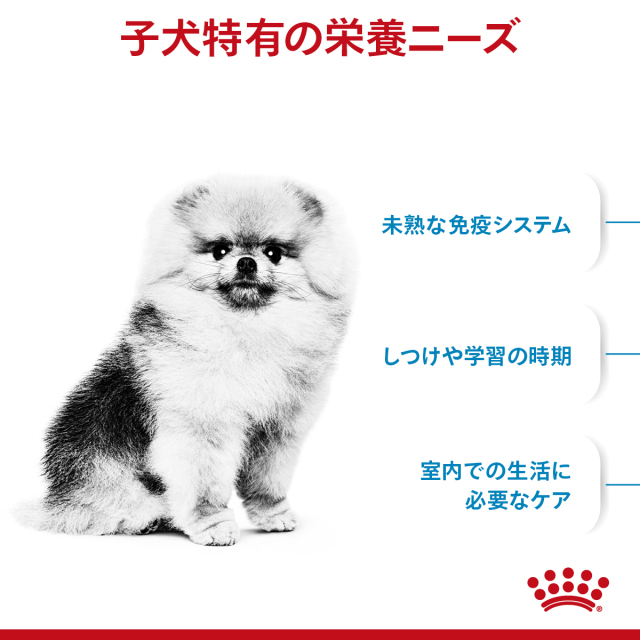 ロイヤルカナン ミニインドアパピー 2kg (生後10カ月齢まで