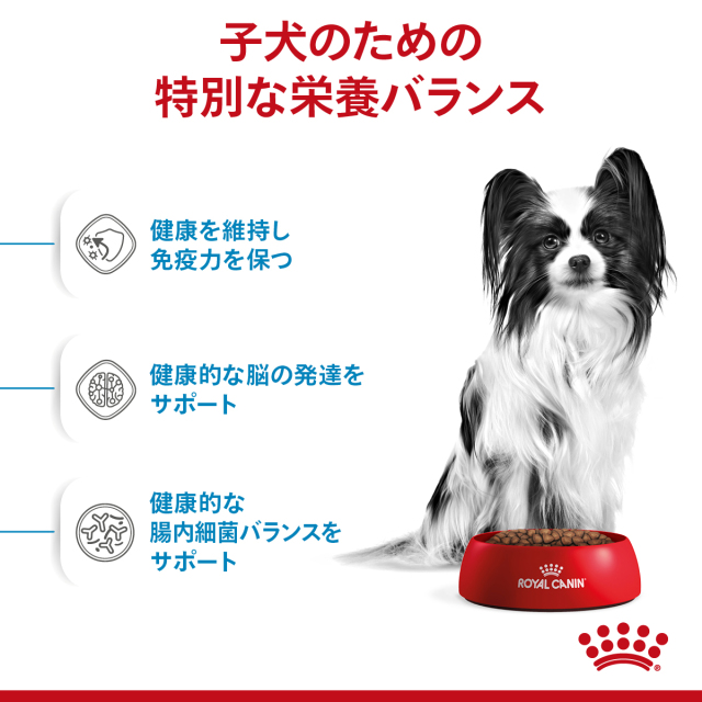 ロイヤルカナン エクストラスモールパピー（超小型犬）3kg 【10