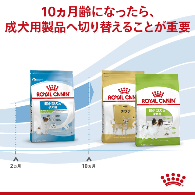 RCエクストラスモールパピー