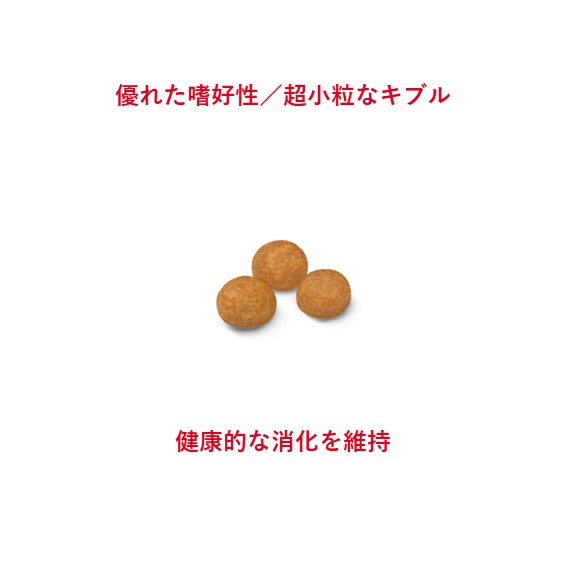 ロイヤルカナン エクストラスモールアダルト（超小型犬）1.5kg