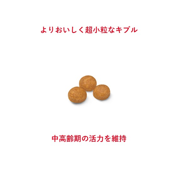 ロイヤルカナン エクストラスモールアダルト8＋（超小型犬）500g 【8