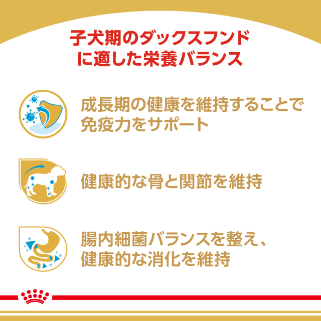 ロイヤルカナン ダックスフンド 子犬用 800g (生後10カ月齢まで) Pets