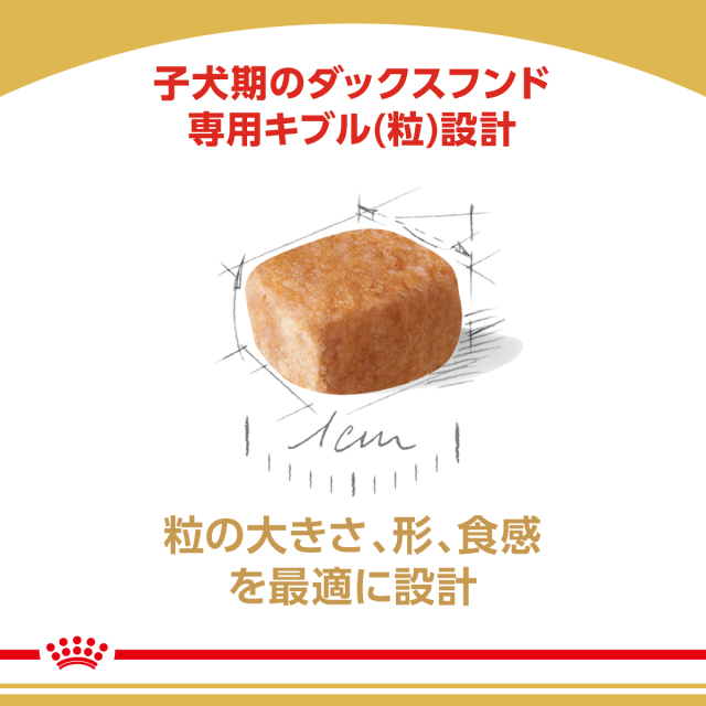 ロイヤルカナン ダックスフンド 子犬用 800g (生後10カ月齢まで) Pets