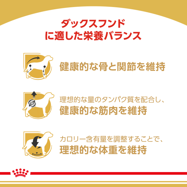 ロイヤルカナン ダックスフンド 成犬用 7.5kg (生後10カ月齢以上) Pets