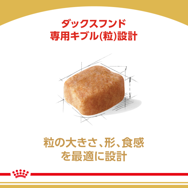 ロイヤルカナン ダックスフンド 成犬用 7.5kg (生後10カ月齢以上) Pets