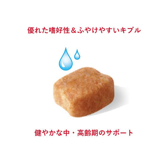  CANIN ダックスフンド 8歳以上 3kg 未開封 ROYAL CANIN ダックスフンド 8+ 3kg - メルカリ