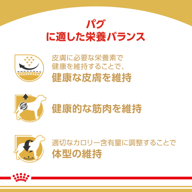RCパグ成犬高齢犬
