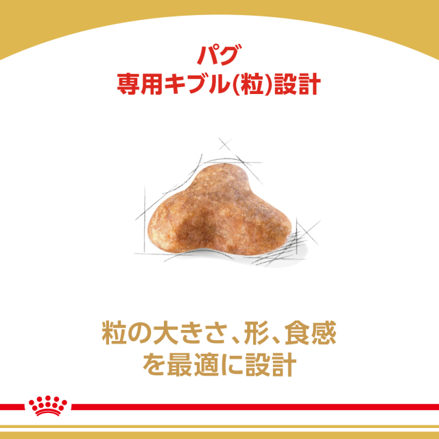 RCパグ成犬高齢犬