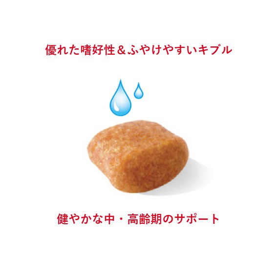 ロイヤルカナン プードル 中・高齢犬用 3kg (生後8歳以上) Pets