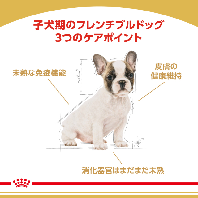 まだまだセール！ロイヤルカナン フレンチブルドッグ 9kg 3182550846042_c999_a001_pm.jpg