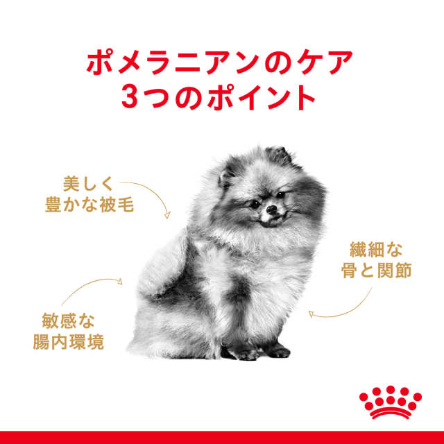 ロイヤルカナン ポメラニアン 成犬〜高齢犬用 ドライフード1.5kg×2袋 ロイヤルカナン ポメラニアン 成犬・高齢犬用 1.5kg (生後8カ月齢以上