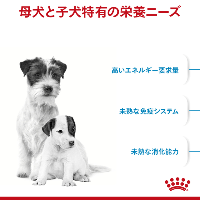 ロイヤルカナン ミニ スターター マザー&ベビードッグ 3kg (子犬・母犬