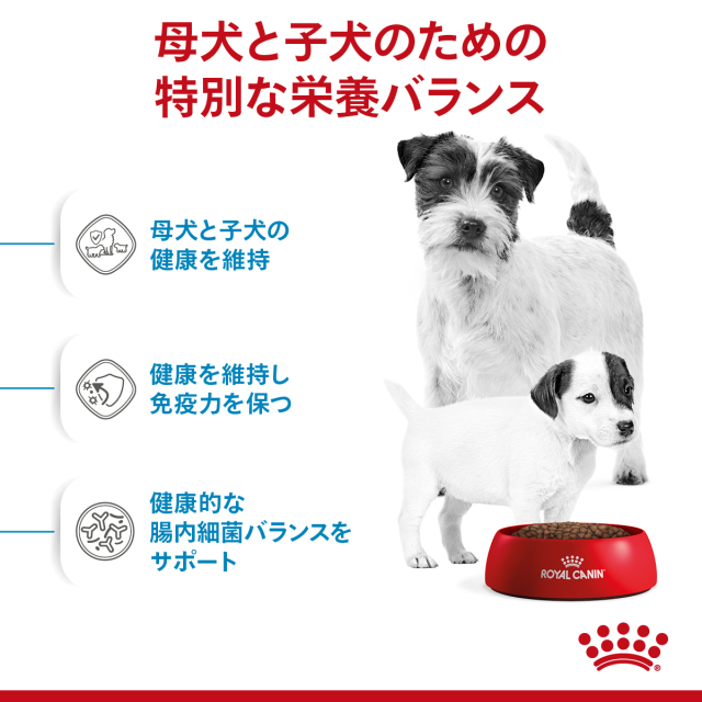 ロイヤルカナン ミニ スターター マザー&ベビードッグ 3kg (子犬