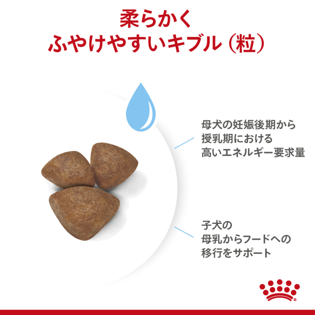 ロイヤルカナン ミニ スターター マザー&ベビードッグ 1kg (子犬・母犬