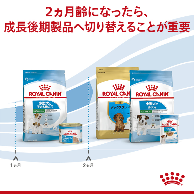 ロイヤルカナン ミニスターター マザー&ベビードッグ 10kg ロイヤルカナンミニスターターマザー＆ベビードッグ