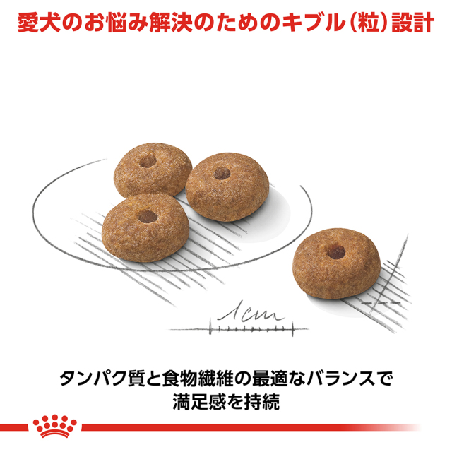 RCミニステアライズド