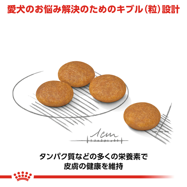 RCミニダーマコンフォート