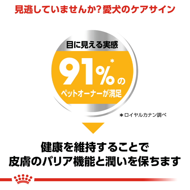 RCミニダーマコンフォート