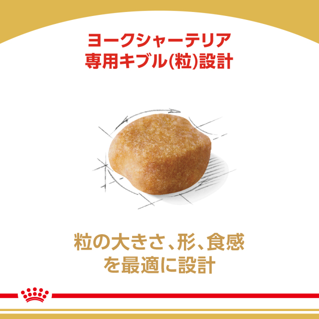 ロイヤルカナン ヨークシャーテリア 成犬～高齢犬用 800g (生後