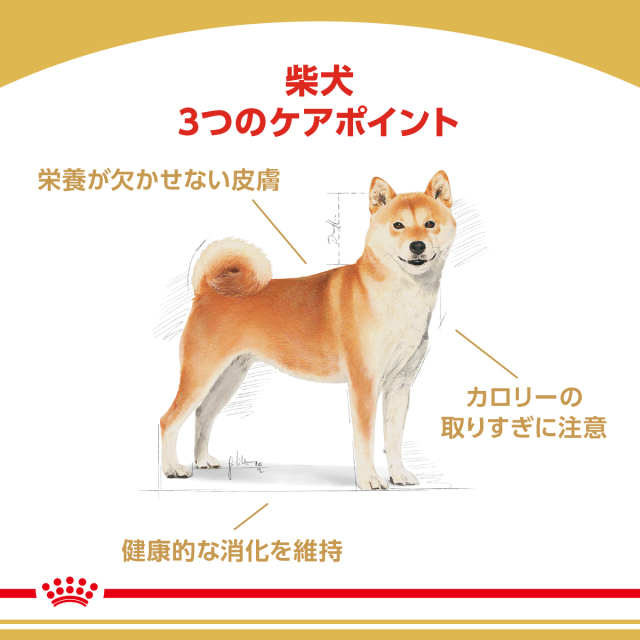 ロイヤルカナン 柴犬成犬用8kg ×2個 ぎょうぎょうしく 