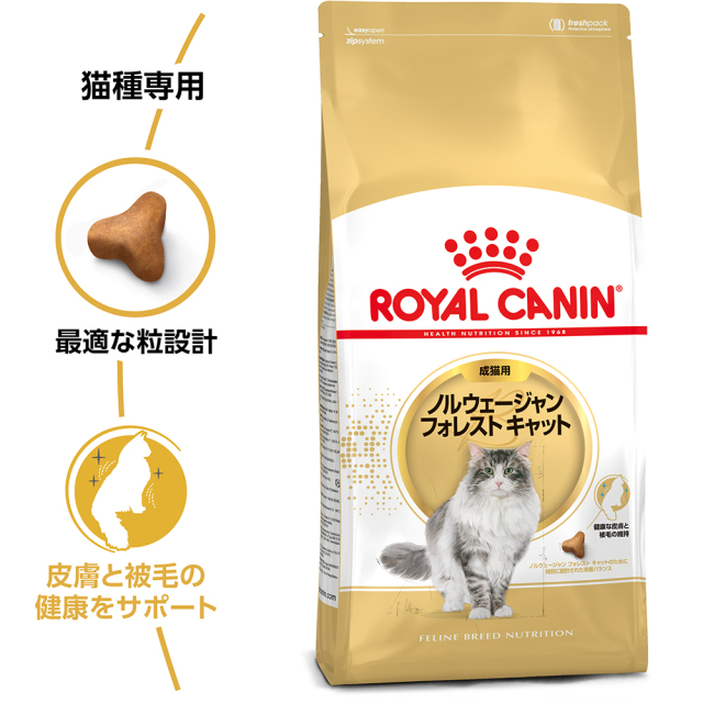 RCノルウェージャン