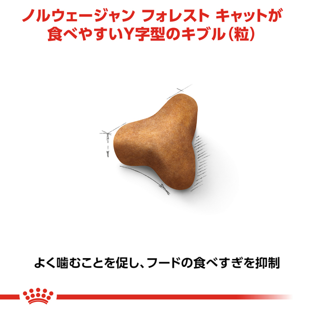 ロイヤルカナン ノルウェージャン フォレスト キャット 2kg (生後12