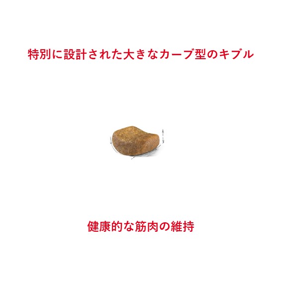 RCブリティッシュ