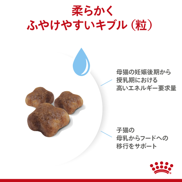マザー＆ベビーキャット dショッピング |ロイヤルカナン 子猫 マザー＆ベビーキャット