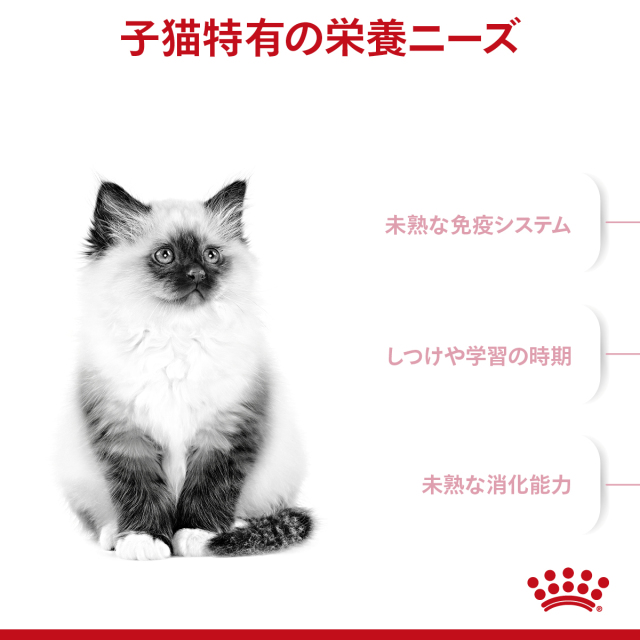 ロイヤルカナン キトン 10kg (生後12カ月齢まで) Pets-first ONLINESTORE