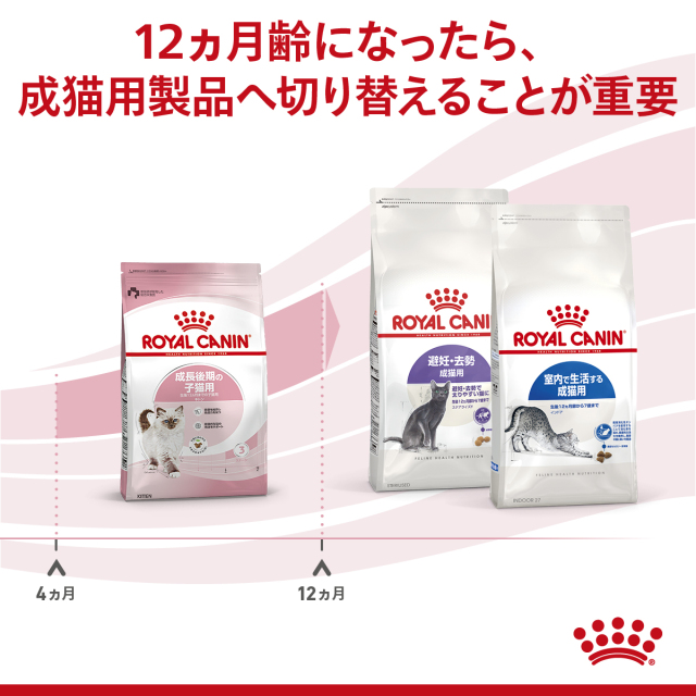 ロイヤルカナン キトン 400g (生後12カ月齢まで) Pets-first