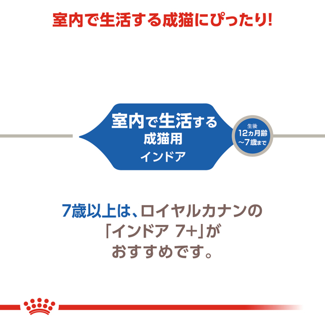 ロイヤルカナン インドア 4kg (生後12カ月齢以上) Pets-first