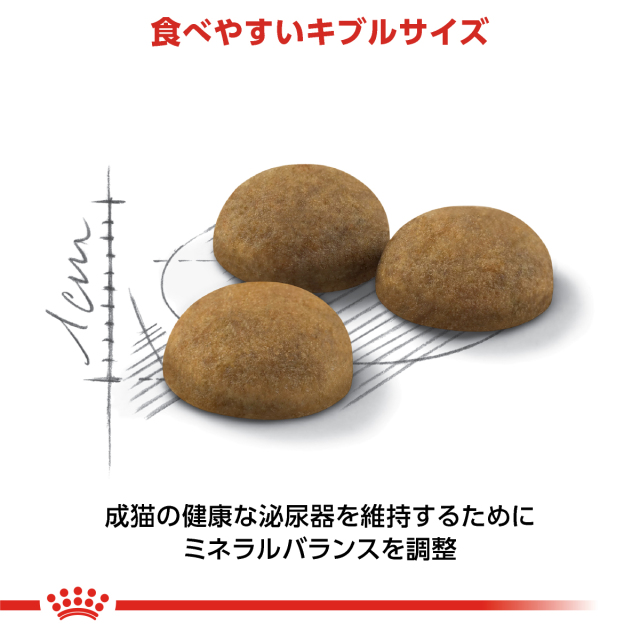 ロイヤルカナン インドア ロングヘアー 400g (生後12カ月齢以上) Pets