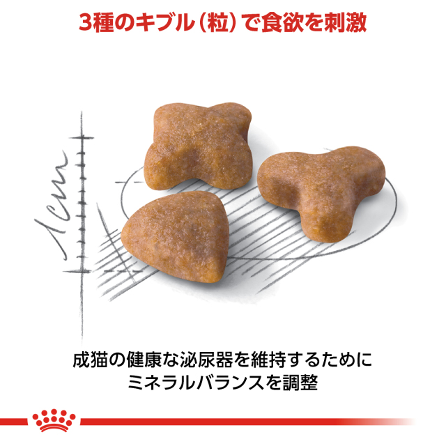 ロイヤルカナン　センシブル　2kg×2袋 Amazon | [ ロイヤルカナン センシブル 2kg 1個 ] ロイヤル