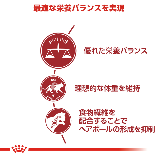 RCフィット