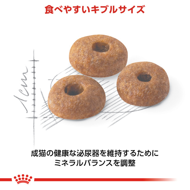 RCフィット