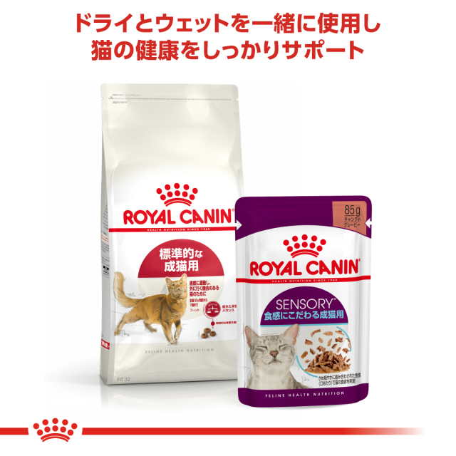 RCフィット
