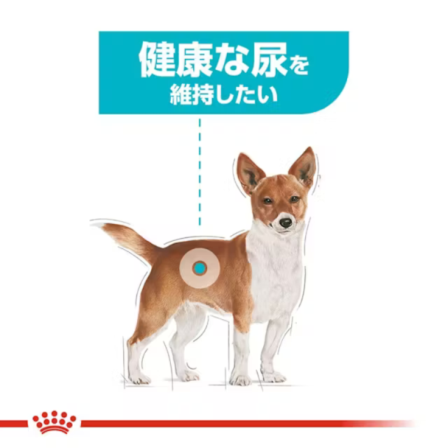ロイヤルカナン