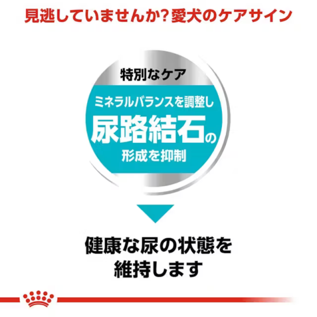 ロイヤルカナン