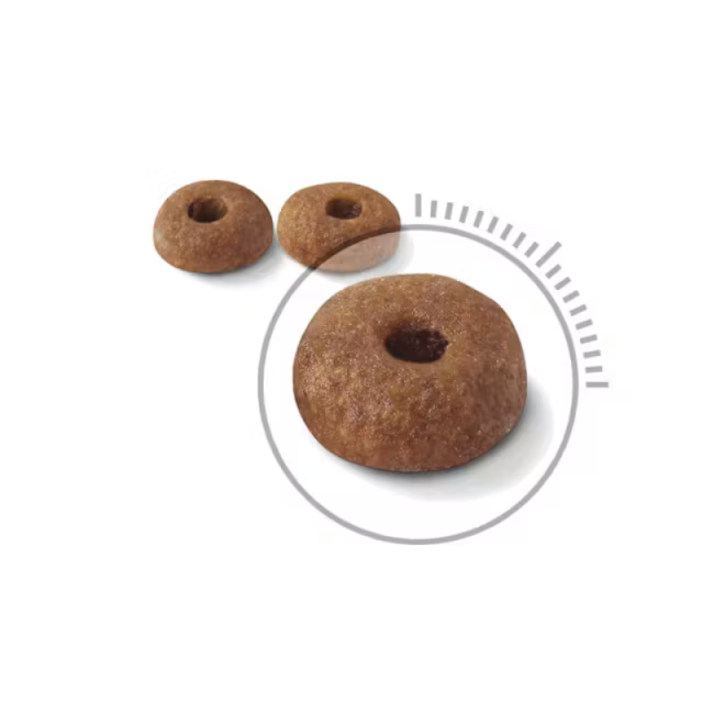 ロイヤルカナン