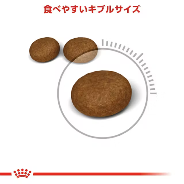 ロイヤルカナン
