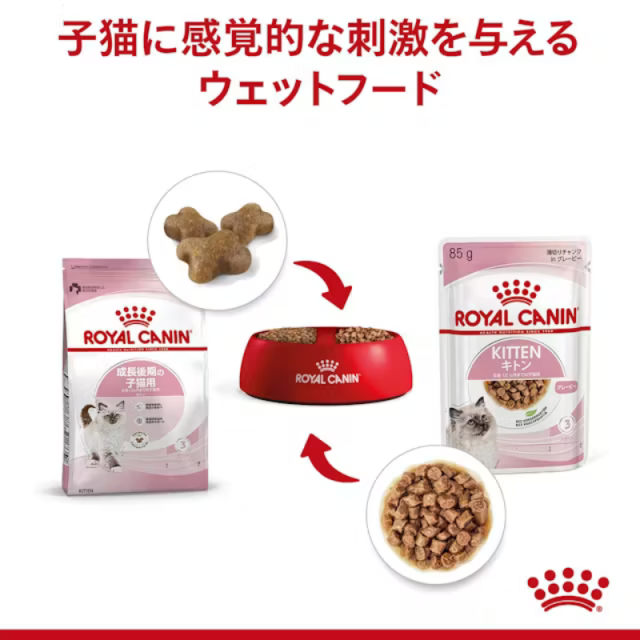 ロイヤルカナン ウェット キトン グレービー 85g×1袋 【子猫および妊娠