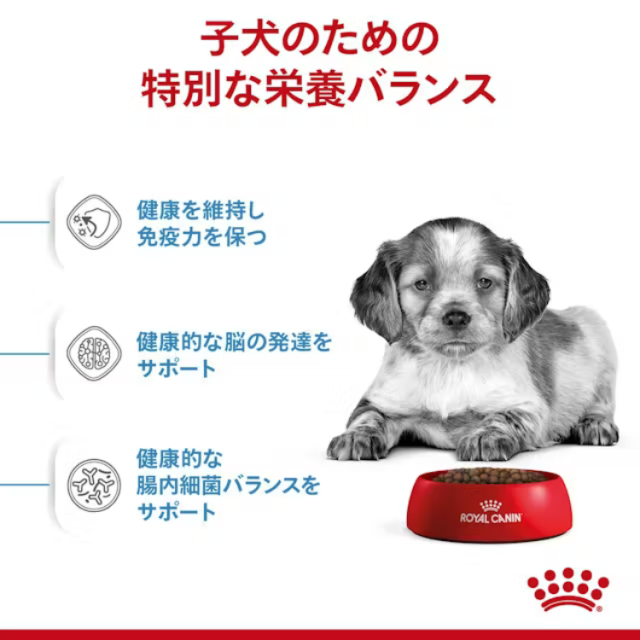 ロイヤルカナン ミディアムパピー 4kg 【中型犬専用フード 子犬用 生後