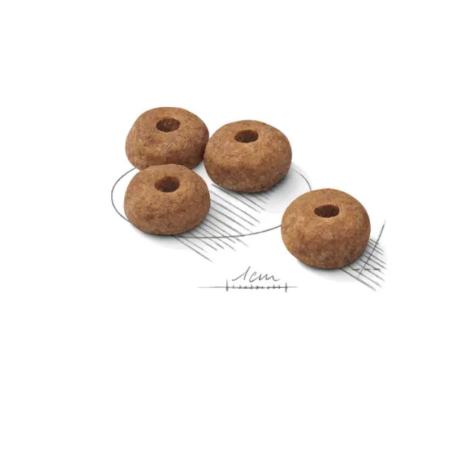 ロイヤルカナン