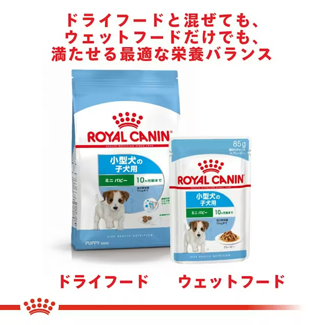 ロイヤルカナン ミニパピー ウェット 12袋セット【小型犬 子犬用