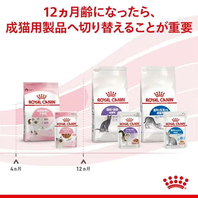 ロイヤルカナン キトン グレービー 12袋セット【子猫および妊娠期の