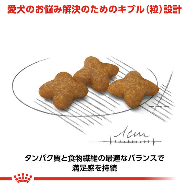 RCエクストラスモールステアライズド