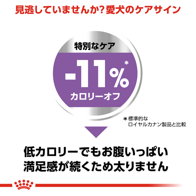 RCエクストラスモールステアライズド